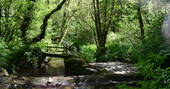 The woodland river walkway at Mill Valley in Cornwall