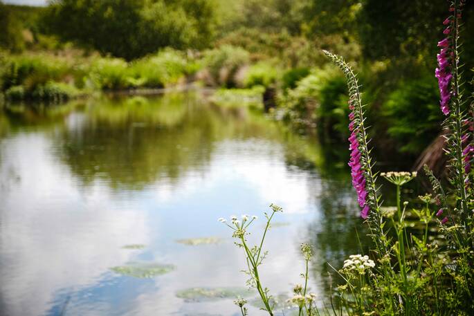 The Sail House Yurt (22)