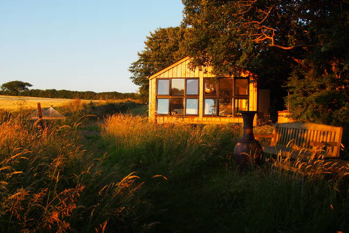 Quiet of Stars cabin stands between the trees in beautiful golden sunlight in the evening, surrounded by high grass in which a hammock and a bench can be seen, Cornwall