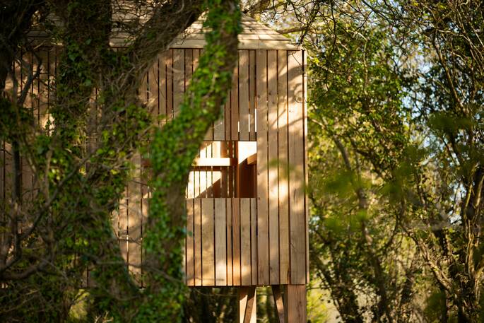 Treehouse through the trees 