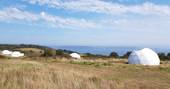 WilderMe geodomes glamping - the geodomes on a sunny day, Kingsand, Cornwall