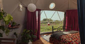 The Explorer Bedroom 