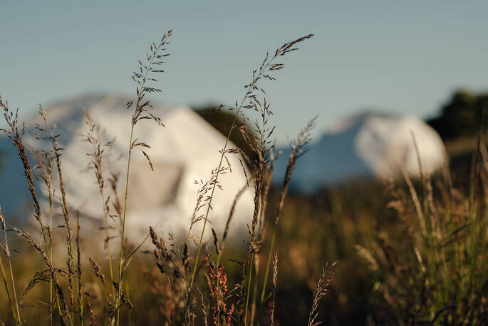 Exterior Nature 