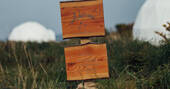 Sign_dom