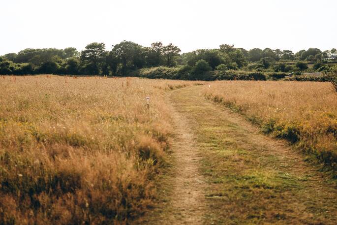 13 - surrounding paths