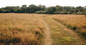 13 - surrounding paths