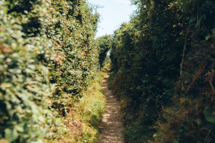 18 - Coastal path
