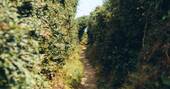 18 - Coastal path