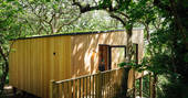 Wrinklers wood - Treehouse-012