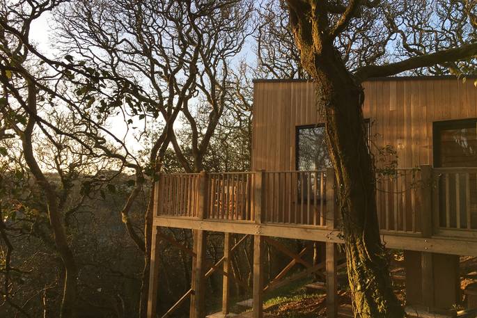 Simba Treehouse on sunset light, Wrinklers Wood, St Agnes, Cornwall