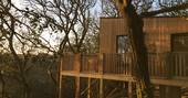 Simba Treehouse on sunset light, Wrinklers Wood, St Agnes, Cornwall