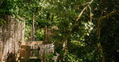Simba Treehouse hot tub, St Agnes, Cornwall, England,,