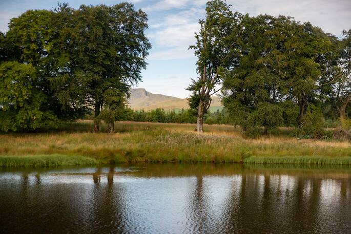 Swimming lake views