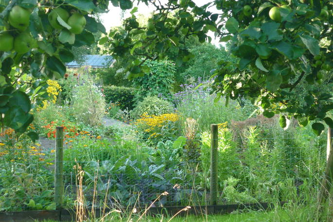 Veg Garden Abundance!