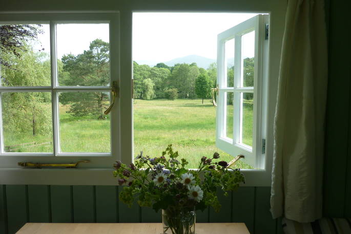 View of the garden from Whistle Wood Wagon in Cumbria.