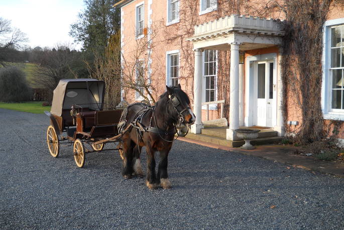 Horse and carriage at Drybeck Farm and Croglin Yurt, Cumbria
