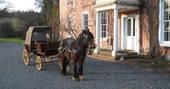 Horse and carriage at Drybeck Farm and Croglin Yurt, Cumbria
