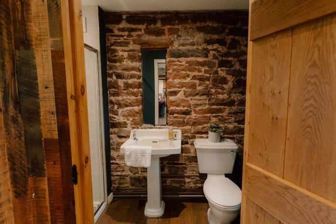 Sink and flushing toilet