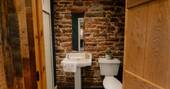 Sink and flushing toilet