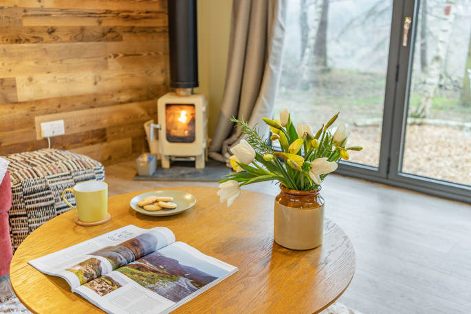 Merlin, The Lost Cabins wood burner, Edenhall Estate, Penrith, Cumbria
