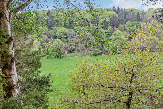 Romey, The Lost Cabins - surrounding area, Edenhall Estate, Penrith, Cumbria