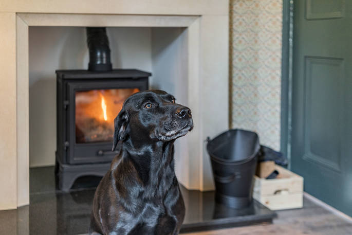 West Lodge house dog relaxing wiht the wood burner, Edenhall Estate, Penrith, Cumbria