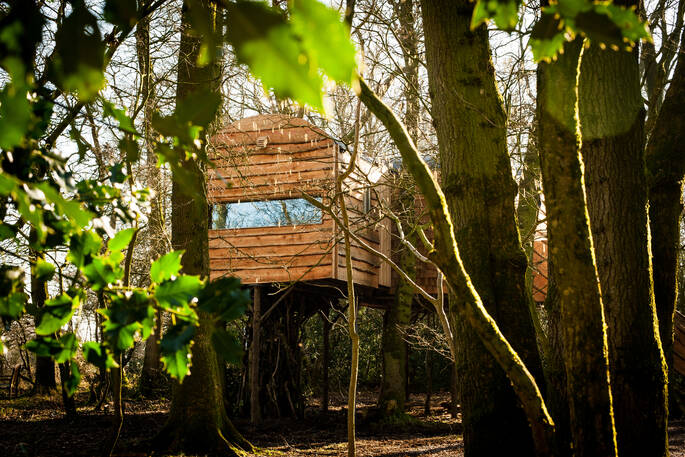 Exterior of Faraway Treehouse hidden in the woods in Cumbria 