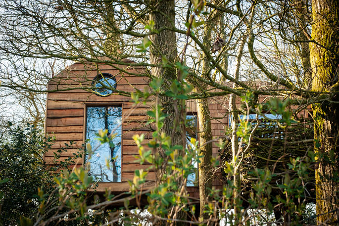 Exterior of Faraway Treehouse hidden in the woods in Cumbria