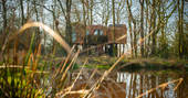 Exterior of Faraway Treehouse infront of the river hidden in the woods in Cumbria