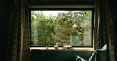 View from the treehouse