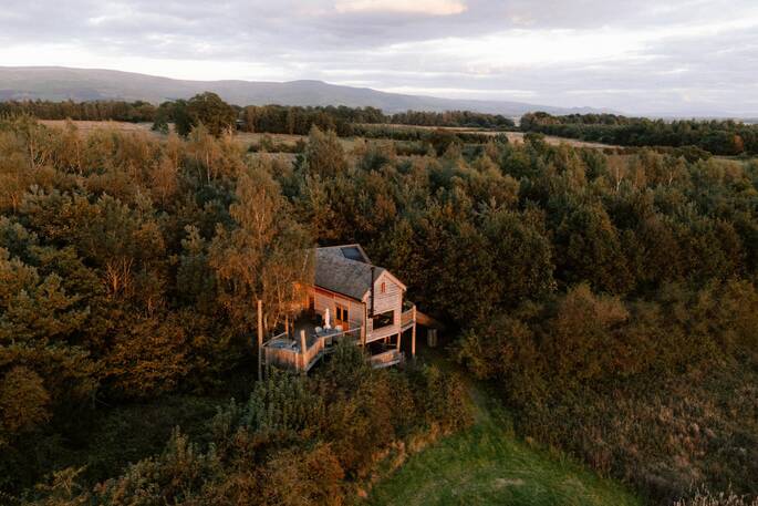 Treehouse in the woods