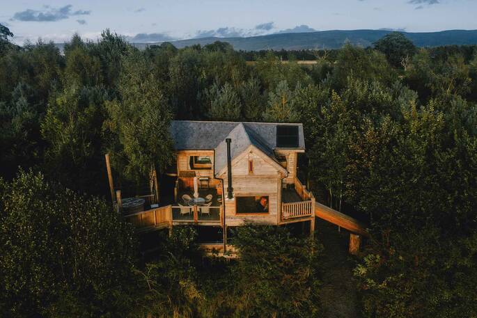 Treehouse in the woods