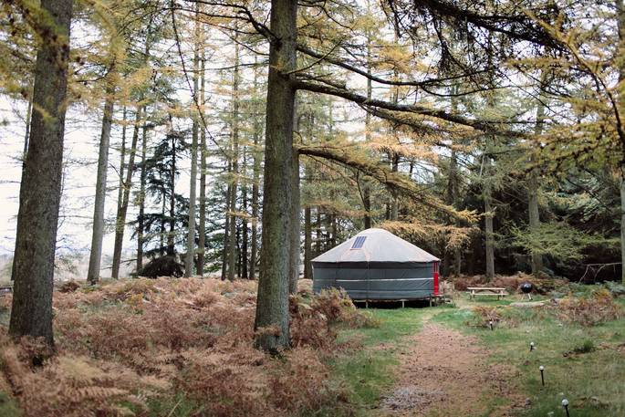 Netherby Woodland Yurt nestled amongst the trees in Cumbria