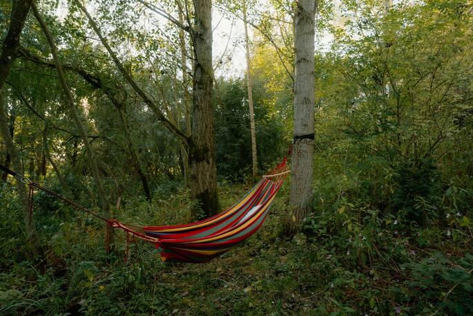 Hammock