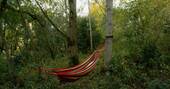 Hammock