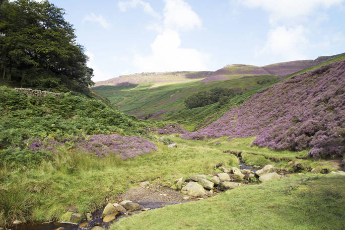The Gritstone safari tent, The Gathering, Hope Valley, Derbyshire