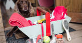 Doggy box which is provided for guests staying at Fairfield at Acorn Farm in Devon