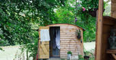 Fairfield shepherd's hut at Acorn Farm, surrounded by lush green Devon countryside