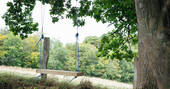 Play on the swing suspended from a tree at Acorn Farm