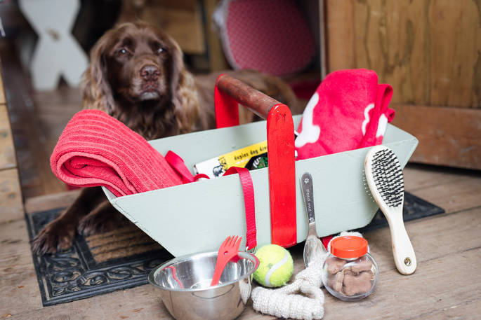 Dog with treats and blankets at Turners Woodland Suite, Acorn Farm in Devon