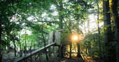 Have a wash at the incredible outdoor shower at Turners Woodland Suite surrounded by trees at Acorn Farm in Devon