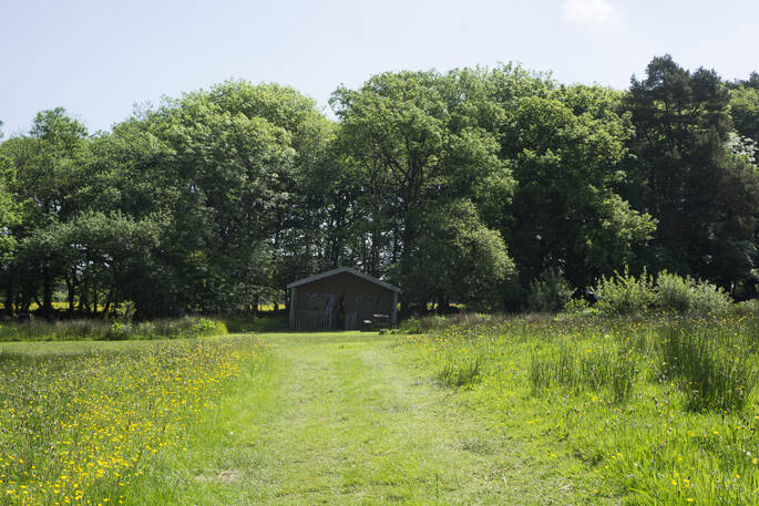 Northcott safari tent at Berridon Farm, surrounded by beautiful Devon countryside