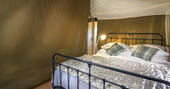 Comfy king-size bed in Dart safari tent in Devon