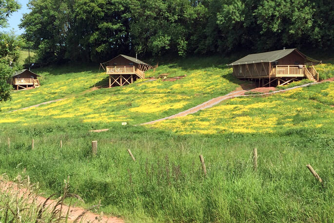 View across the buttercup meadow, home to Bovey, Dart and Tamar safari tents