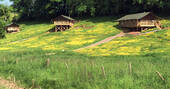 View across the buttercup meadow, home to Bovey, Dart and Tamar safari tents