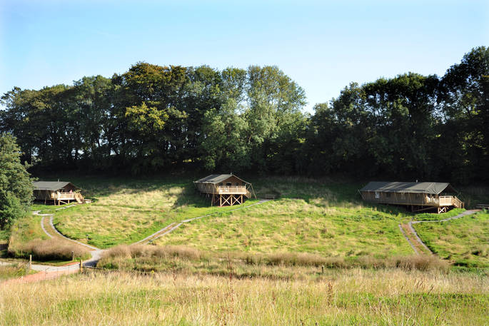 Brownscombe safari tents in Devon in two-acre buttercup meadow