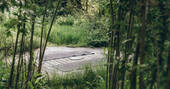 The Linhay 16