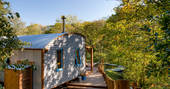 Carpenter Cabin shaded by trees on a sunny day at Devon Dens