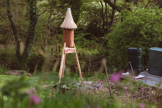 Watch the bees at work at Carpenter Cabin in Devon