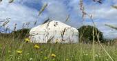 Great Links at Devon Yurt, Lifton, Devon (4)